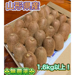 山形県産 ☆無農薬自然栽培☆キウイフルーツ中大～中小たっぷり1.6kg以上❗(フルーツ)