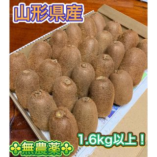 山形県産 ☆無農薬自然栽培☆キウイフルーツ中大～中小たっぷり1.6kg以上！(フルーツ)