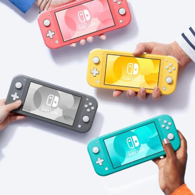 Switch Lite グレー  ソフト2点付(ダウンロード版)