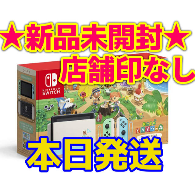 Nintendo Switch あつまれ どうぶつの森セット 任天堂