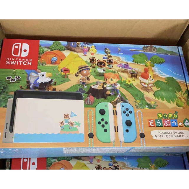 任天堂switch あつまれどうぶつの森セットエンタメ/ホビー