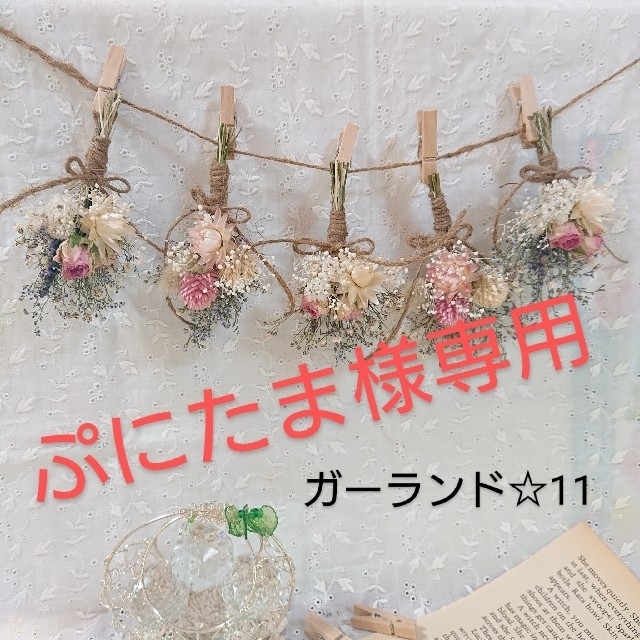 ぷにたま ガーランド☆11☆14