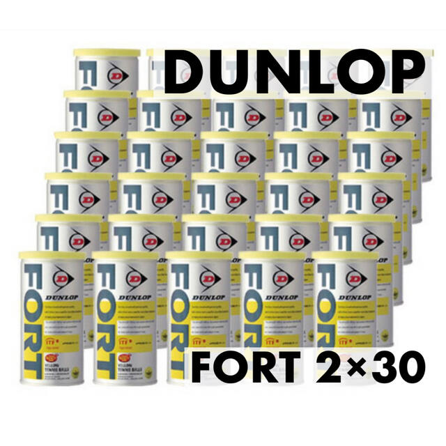 【新品未使用】ダンロップ　DUNLOP FORT テニスボール　2個×30缶