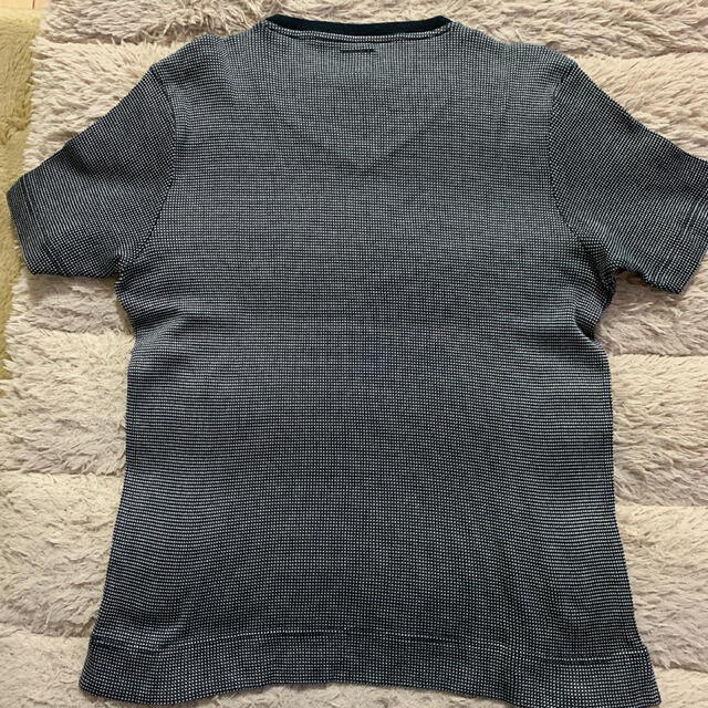 Calvin Klein(カルバンクライン)のCalvin Klein 半袖cottonニットシャツ   レディースのトップス(Tシャツ(半袖/袖なし))の商品写真