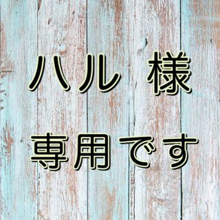 ★✯ ハル 様 専用です ✯★(その他)