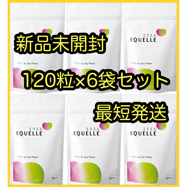 一番人気】 【新品未開封】エクエルパウチ 120粒 6袋セット（エクエル