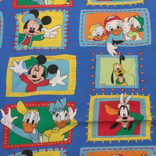 ディズニー(Disney)の専用(バッグ)