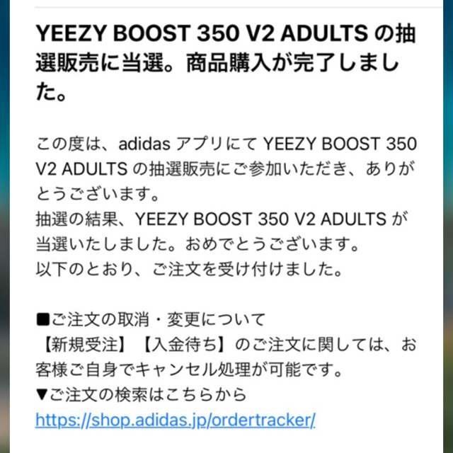 adidas(アディダス)のmaimaiさん専用　アディダス イージーブースト350 V2 24.5cm レディースの靴/シューズ(スニーカー)の商品写真