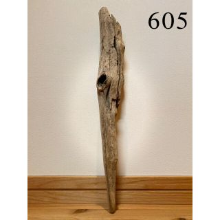 流木【605】(置物)