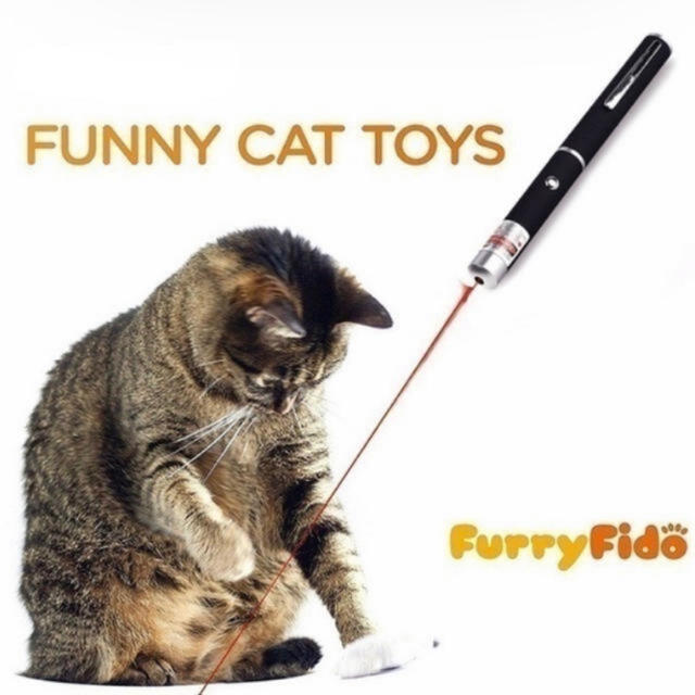 猫 おもちゃ LEDレーザポインター 【新品未使用】ネコ その他のペット用品(猫)の商品写真