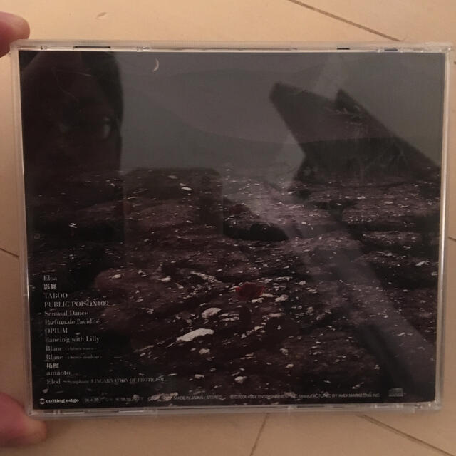 the price of being a rose is loneliness エンタメ/ホビーのCD(ポップス/ロック(邦楽))の商品写真