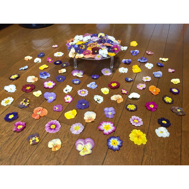 お花屋さんが作った彩りビオラとふんわりプリムラのドライフラワー70冠です‼️ ハンドメイドのフラワー/ガーデン(ドライフラワー)の商品写真