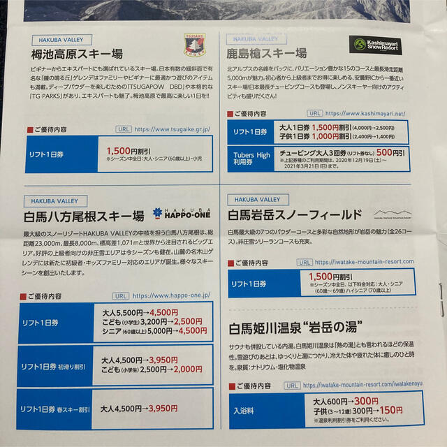 リフト利用割引券 日本駐車場開発 1枚5名有効 2021年シーズン♯2 チケットの優待券/割引券(その他)の商品写真