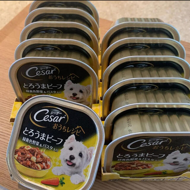 CASAR(シーザー)の値下げ！！シーザーとろうまビーフ その他のペット用品(ペットフード)の商品写真