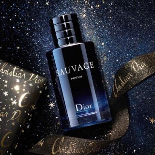 ディオール(Dior)のクリスチャンディオール ソヴァージュ パルファン　60ml(ユニセックス)