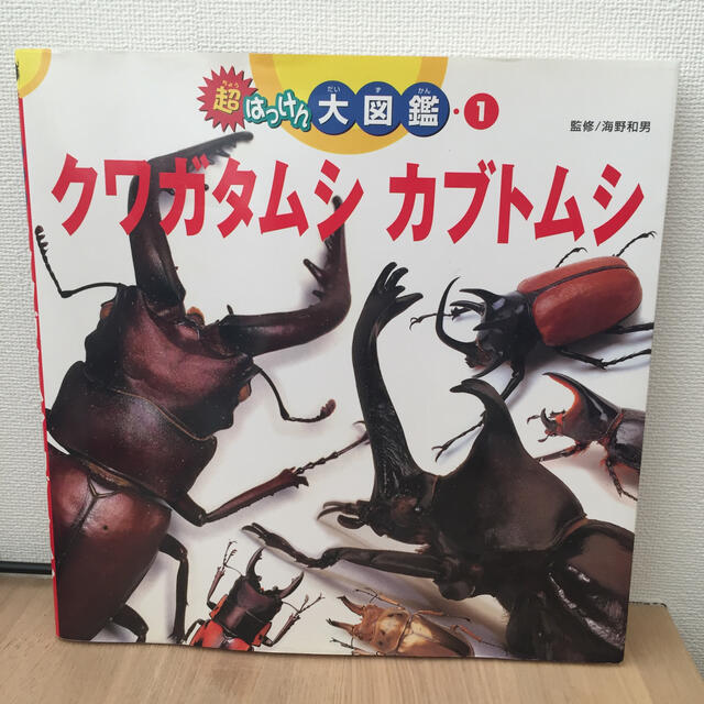 クワガタムシ　カブトムシ エンタメ/ホビーの本(絵本/児童書)の商品写真