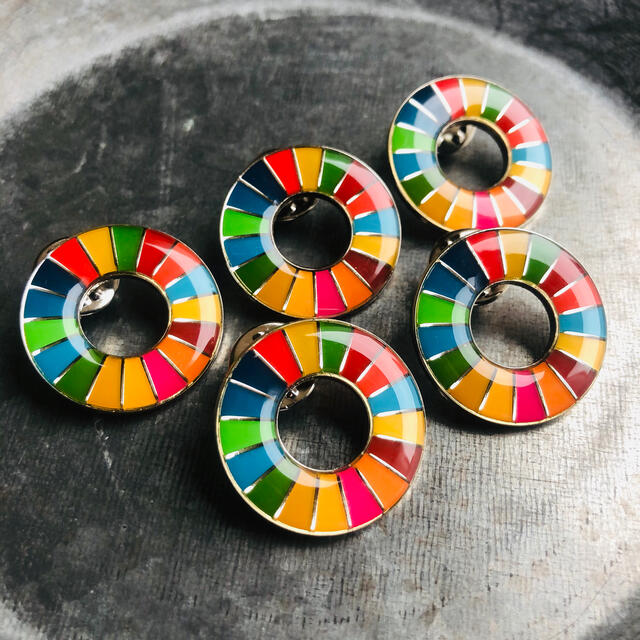 SDGs ピンバッジ　5点　新品未使用