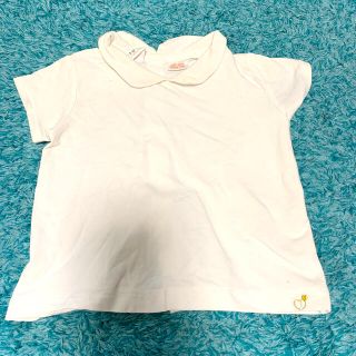 ザラキッズ(ZARA KIDS)のZARAbaby 襟付きTシャツ(Ｔシャツ)