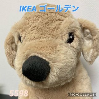 イケア(IKEA)の〓IKEA ゴールデン 子犬〓(ぬいぐるみ)