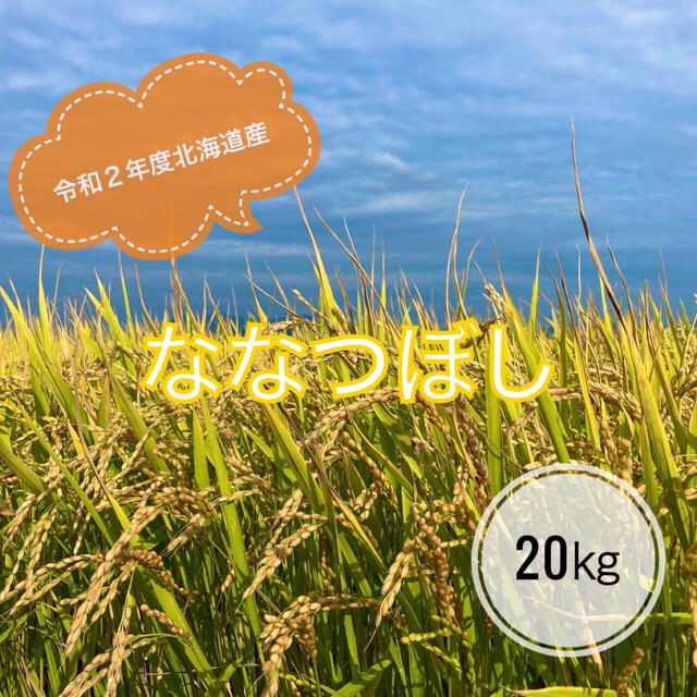 令和2年度北海道産ななつぼし玄米20㎏農家直送送料無料