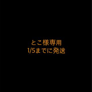 マスク(THE MASK)のとこ様専用 1/5までに発送(その他)