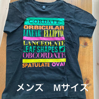 グラニフ(Design Tshirts Store graniph)の【Design Tshirts Store graniph】Tシャツ　Mサイズ(Tシャツ/カットソー(半袖/袖なし))