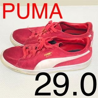 プーマ(PUMA)のPUMA SUEDE IGNITE 赤【プーマ スウェードイグナイト】(スニーカー)