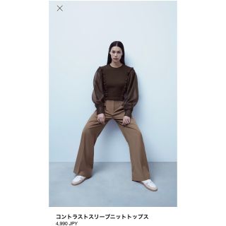 ザラ(ZARA)の【最終値下げ】ZARA ザラ オーガンジー ニット ブラウン(ニット/セーター)