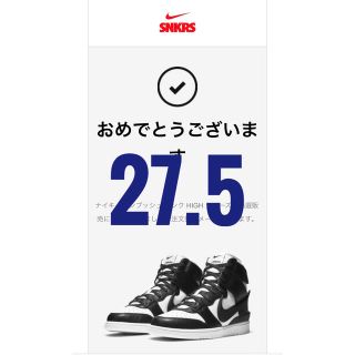 ナイキ(NIKE)のNIKE AMBUSH ナイキ　アンブッシュ　27.5(スニーカー)