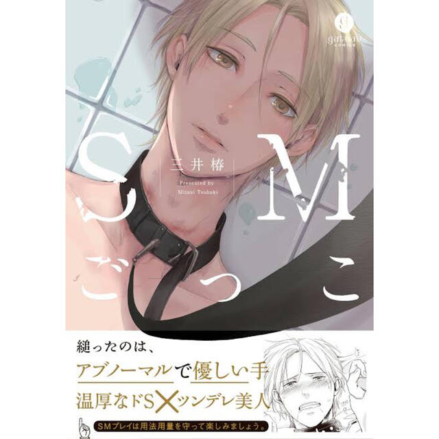 ＳＭごっこ エンタメ/ホビーの漫画(ボーイズラブ(BL))の商品写真