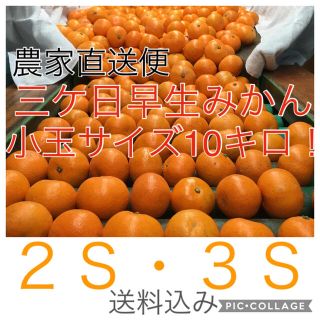 三ヶ日みかん 早生 【訳あり品】10キロ