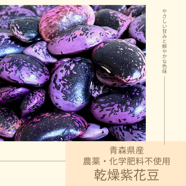 【農薬・化学肥料不使用】乾燥紫花豆 約500g 青森県産 2020年産 食品/飲料/酒の食品(野菜)の商品写真