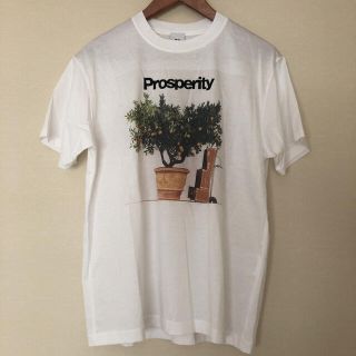 エムシーエム(MCM)のTシャツ　MCM X PHENOMENON(Tシャツ/カットソー(半袖/袖なし))