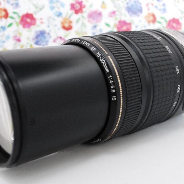 手ぶれ補正機能☆】Canon EF 75-300mm IS 超望遠レンズ | monsterdog