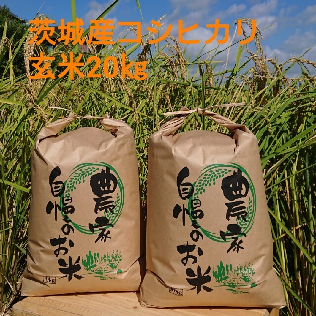 茨城令和2年産コシヒカリ玄米20㎏ - 米/穀物