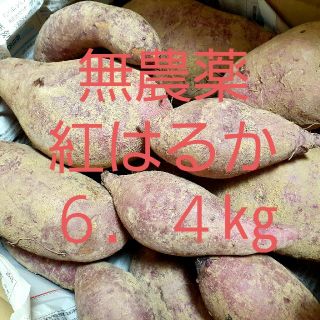 紅はるか　6.4㎏　さつまいも(野菜)