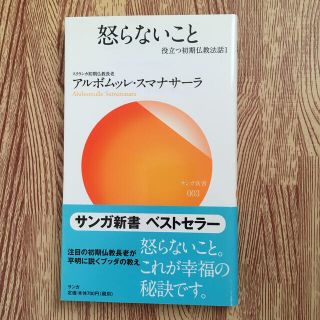 怒らないこと(文学/小説)