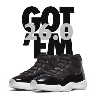 ナイキ(NIKE)のnike / air jordan 11 Jubilee / 26.0(スニーカー)