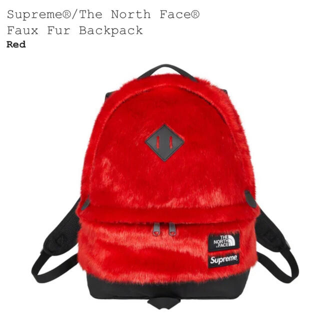 メンズSupreme The North Face Faux Fur Backpack