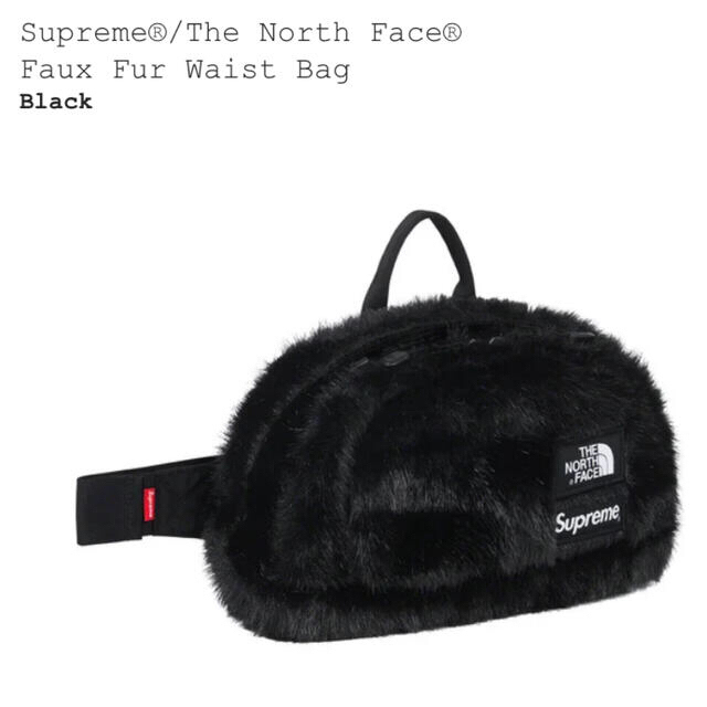 Supreme The North Face Waist Bag シュプリーム