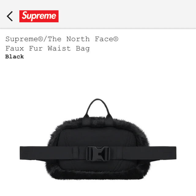 Supreme(シュプリーム)のSupreme North Face waist bag ブラック メンズのバッグ(ウエストポーチ)の商品写真