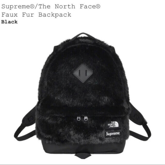 Supreme  North Face  Backpack リュック