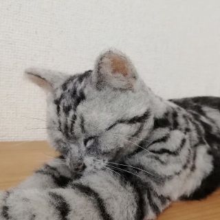 羊毛フェルト・アメリカンショートヘアー・猫(ぬいぐるみ)