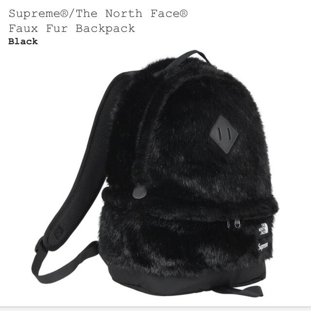 Supreme × North Face Faux Fur Backpack