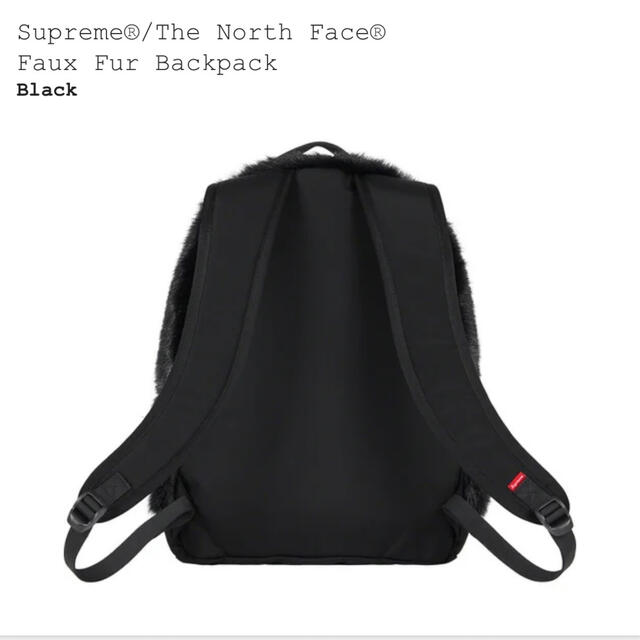Supreme × North Face Faux Fur Backpack