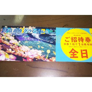 伊豆高原グランイルミご招待券(全日) １名(遊園地/テーマパーク)