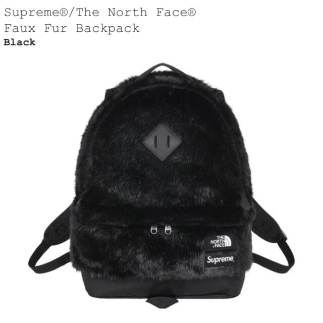 Supreme TheNorthFace FauxFur Backpackその他