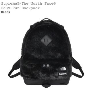 シュプリーム(Supreme)のSupreme TheNorthFace FauxFur Backpack (その他)