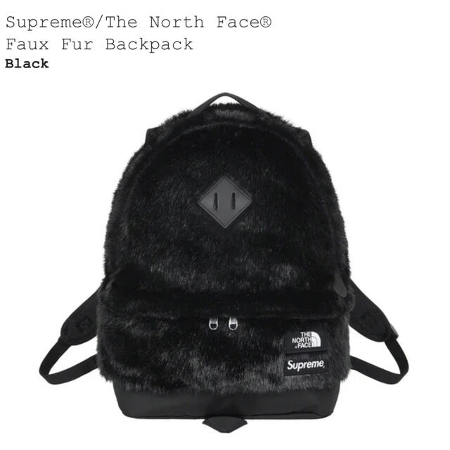 Supreme THE NORTH FACE Faux Fur Backpackバッグ