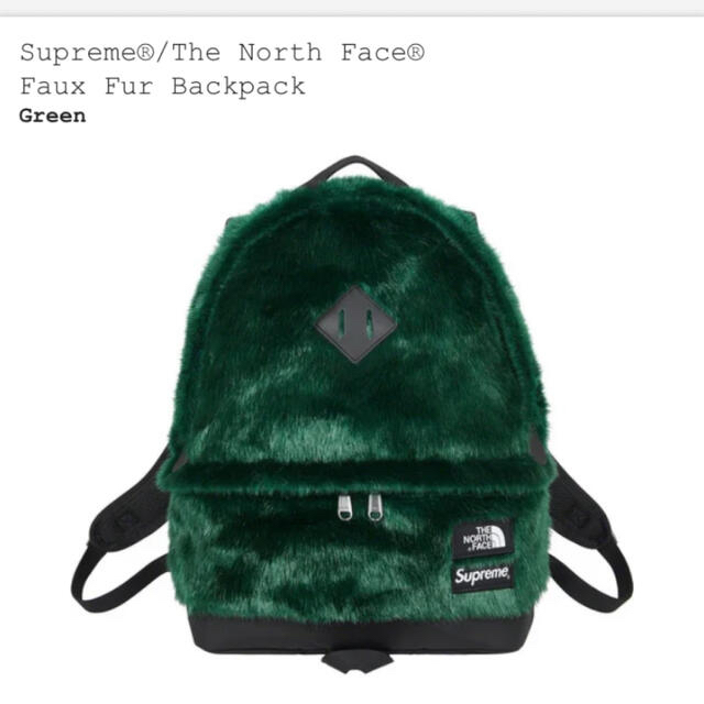 supreme North face バックパック　オンライン購入